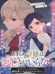 全息游戏镜像副本作品封面