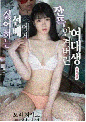 零号全息双线回响作品封面
